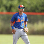 David Peralta será operado y no volverá a jugar en la temporada