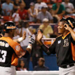 Águilas blanqueó a Caribes y avanzó a la final