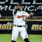 La lluvia impidió otro desafío entre Leones y Tiburones