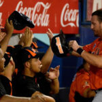 Amauri Sanit salió del roster de Magallanes