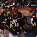 Tres árbitros venezolanos buscarán cupo en la Academia de EEUU