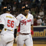 El oportuno bate de David Rodríguez encaminó el triunfo de Bravos
