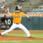 Magallanes superó a Tigres en Maracay