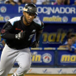 Tigres de Aragua despidió a Ramón Hernández