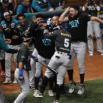 Tigres dejó en el terreno a Leones y decidirá su destino contra Bravos