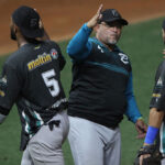 Magallanes zarandeó a Tigres en el regreso de Sandoval