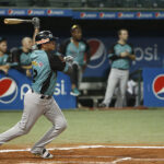 Leones blanqueó al Magallanes amparado en una inspirada ofensiva