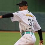 Leones se llevó la serie particular ante Cardenales