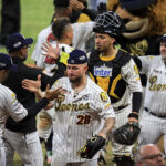 Leones venció a Tigres y pasó a la Gran Final