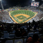 Leones prolongó yugo contra Magallanes en Caracas