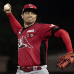 Leones derrotó al Magallanes y aseguró serie particular