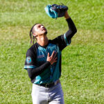 Leones comienza la reestructuración luego de la eliminación