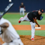 Magallanes contuvo a Tigres en Maracay