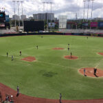 Cardenales blanqueó a Tomateros y se clasificó a la final