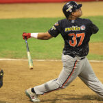 Magallanes frenó la racha positiva de Tiburones
