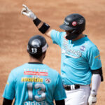 Ángel Rondón silenció a Leones y Águilas quebró su mala racha