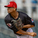 Reinaldo Ruíz regresará como coach de banca de Bravos