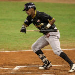 Magallanes sin premura para designar mánager