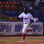 Leones bajó a Cardenales de la cima a la fuerza