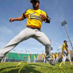 Carlos Carrasco ganó el Premio Roberto Clemente