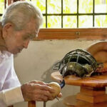 Kelvin Alarcón aprende de los peloteros experimentados