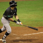 La LVBP sancionó a los mánagers David Davalillo y Wilfredo Romero