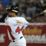 Magallanes mantuvo su buen momento contra las Águilas