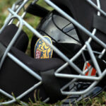 Ramírez y Castro guiaron el triunfo de Leones