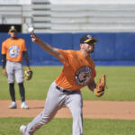 Hay abundancia en los jardines de Leones del Caracas