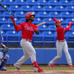 Willians Astudillo aseguró un lugar en el roster de Minnesota