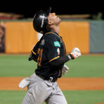 El derecho Brooks Hall completó la importación de Cardenales
					20/09/2022