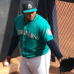 Deolis Guerra ha sido el arma de los Ángeles contra los zurdos