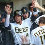 José Lobatón fue asignado a la filial Triple A de los Mets