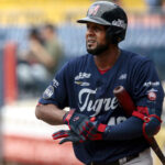 Diego Castillo fue colocado en asignación por Mets de Nueva York