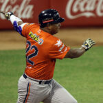 Magallanes remontó contra Leones y se afianzó en el primer lugar