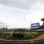 Breyvic Valera elevará a 10 sus años de servicio con Bravos