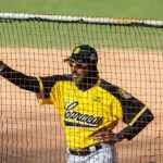 Tiburones sigue sumando talento joven a sus filas
					09/08/2022