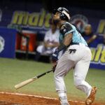 Leones le ganó el primer asalto al Magallanes