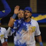 Tigres dividió honores con Cardenales y se metió en semifinales