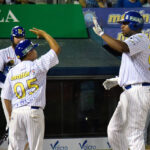 Leones blanqueó a los Tigres en Maracay
