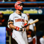 Freddy Fermín: el sorprendente y atípico campeón bate de la LVBP