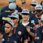 Magallanes activó a Chris Domínguez