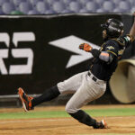 Leones contrató al lanzador Jefry Valdez