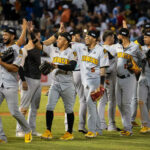 Despedido el mánager Marco Davalillo