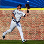 Tampa Bay subió al zurdo José Alvarado