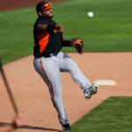 José Alguacil seguirá siendo el manager de Estrellas Orientales