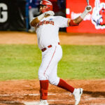 Leones venció a Tigres y pasó a la Gran Final