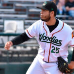 Un venezolano será el primer importado en el beisbol argentino