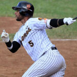 Aplazado el juego entre Tiburones y Águilas en Barquisimeto