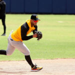 Carlos Mendoza, mánager de Cardenales: “No creo en favoritismos”